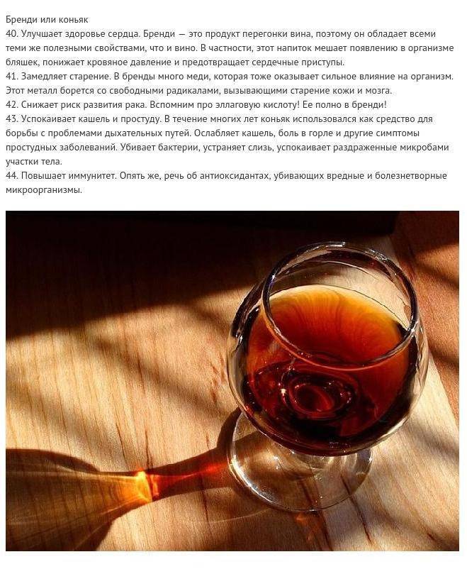 Польза и вред коньяка для здоровья организма человека: можно ли пить его в лечебных целях | nail-trade.ru