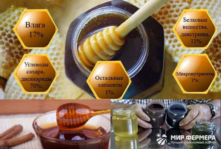 Падевый мед: польза и вред, особенности сорта