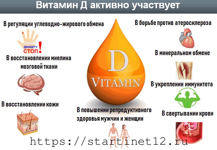 Витамин b4: холин в таблетках, ампулах | food and health