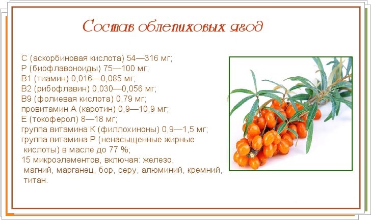 Калорийность ягод и фруктов таблица на 100 грамм
