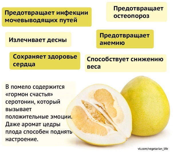 Памела (фрукт): польза, лечебные свойства и калорийность, сколько калорий в 100 г помело