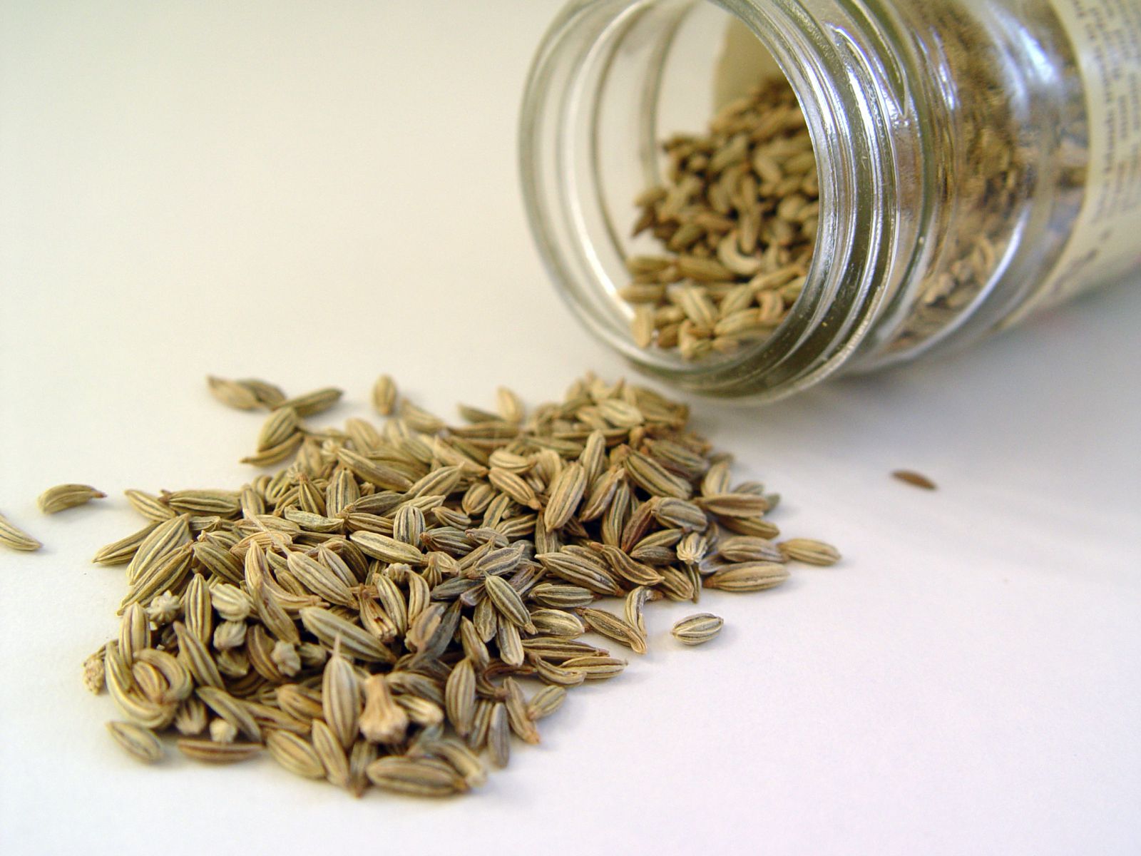 Семена укропа для похудения: особенности применения и примерные рецепты