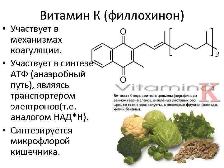 Витамин к1