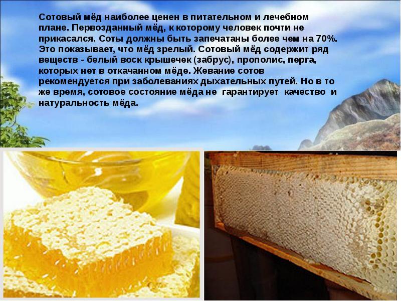 Мед в сотах: свойства, польза, как употреблять, как хранить