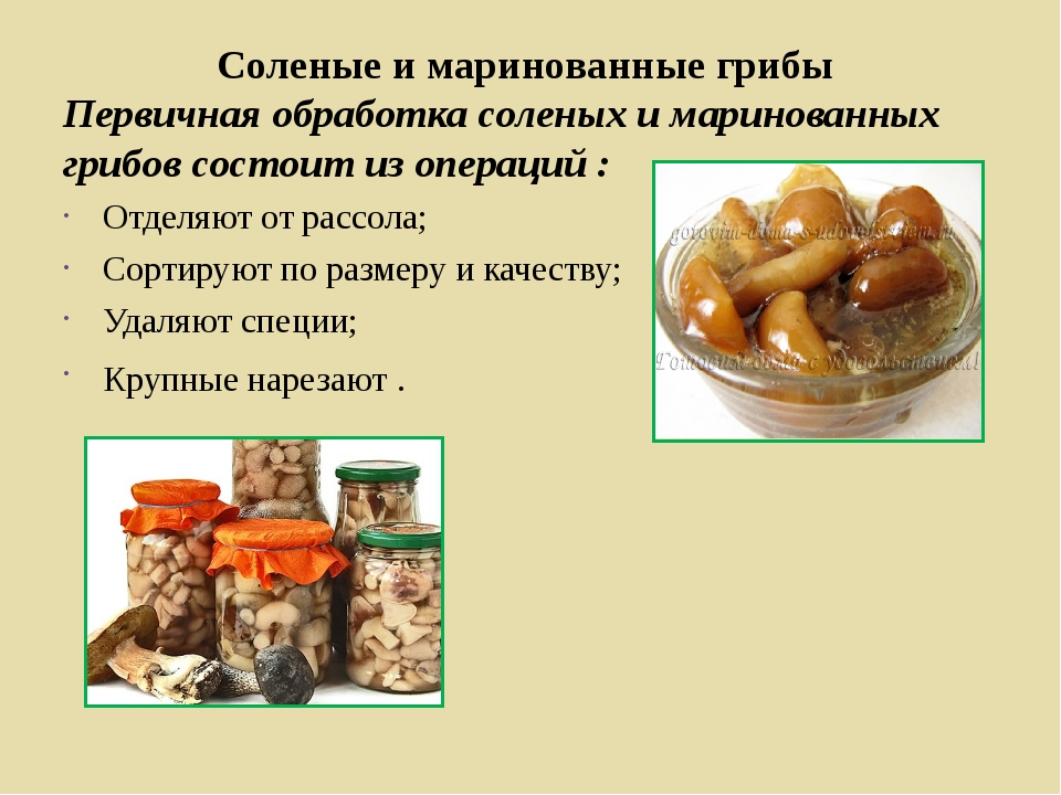 Можно ли беременным грибы: почему нельзя есть женщинам, польза и вред соленых, древесные во время беременности | rucheyok.ru
