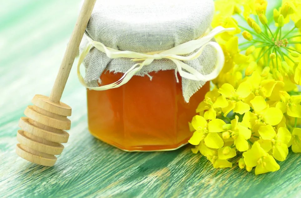 Донниковый мед: полезные свойства и противопоказания, калорийность, применение, фото