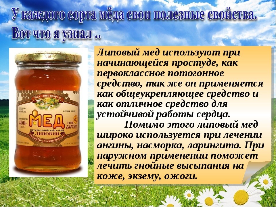Медовуха: вред и польза медового напитка для здоровья