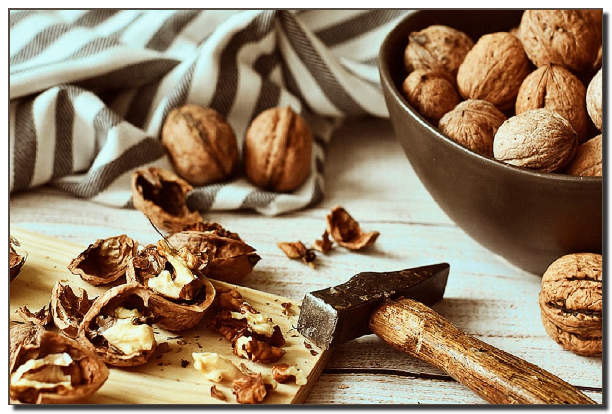 Всё о применении скорлупы и перепонок грецкого ореха - полезные свойства, рецепты народной медицины, противопоказания и отзывы