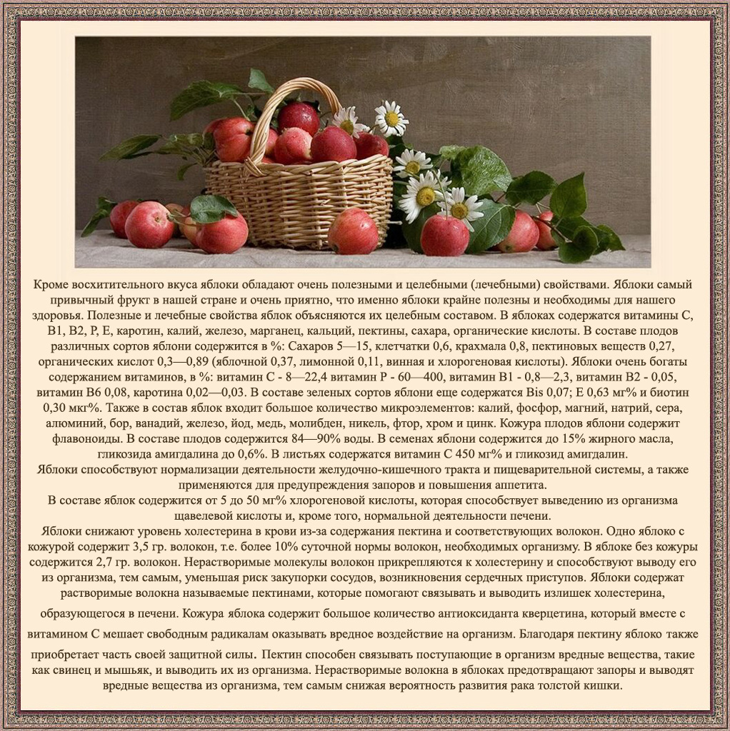 Сушеные яблоки — польза и вред для здоровья человека 🍎