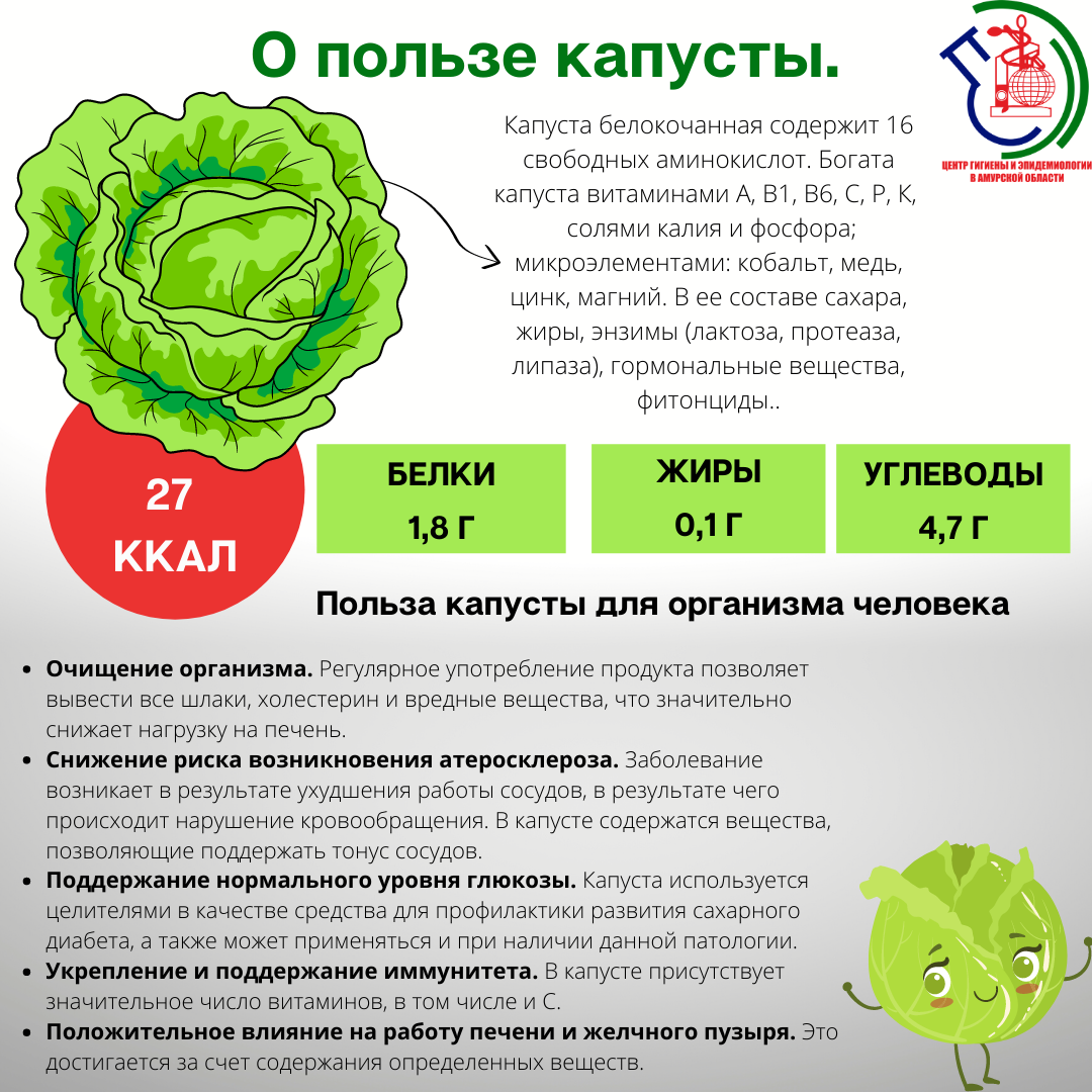 Капустный сок: польза и вред. лечение капустным соком :: syl.ru