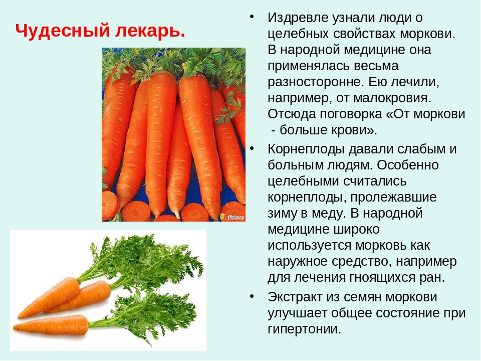Польза и вред моркови, химический состав моркови, как выбрать и сохранить морковь.