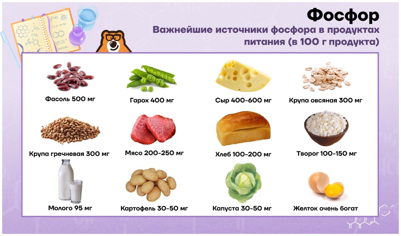 Таблица содержания фосфора в продуктах питания – 100 лучших источников