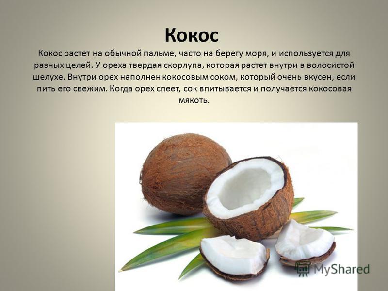 Чем полезен кокос для организма: полезные свойства для женщин и мужчин, противопоказания