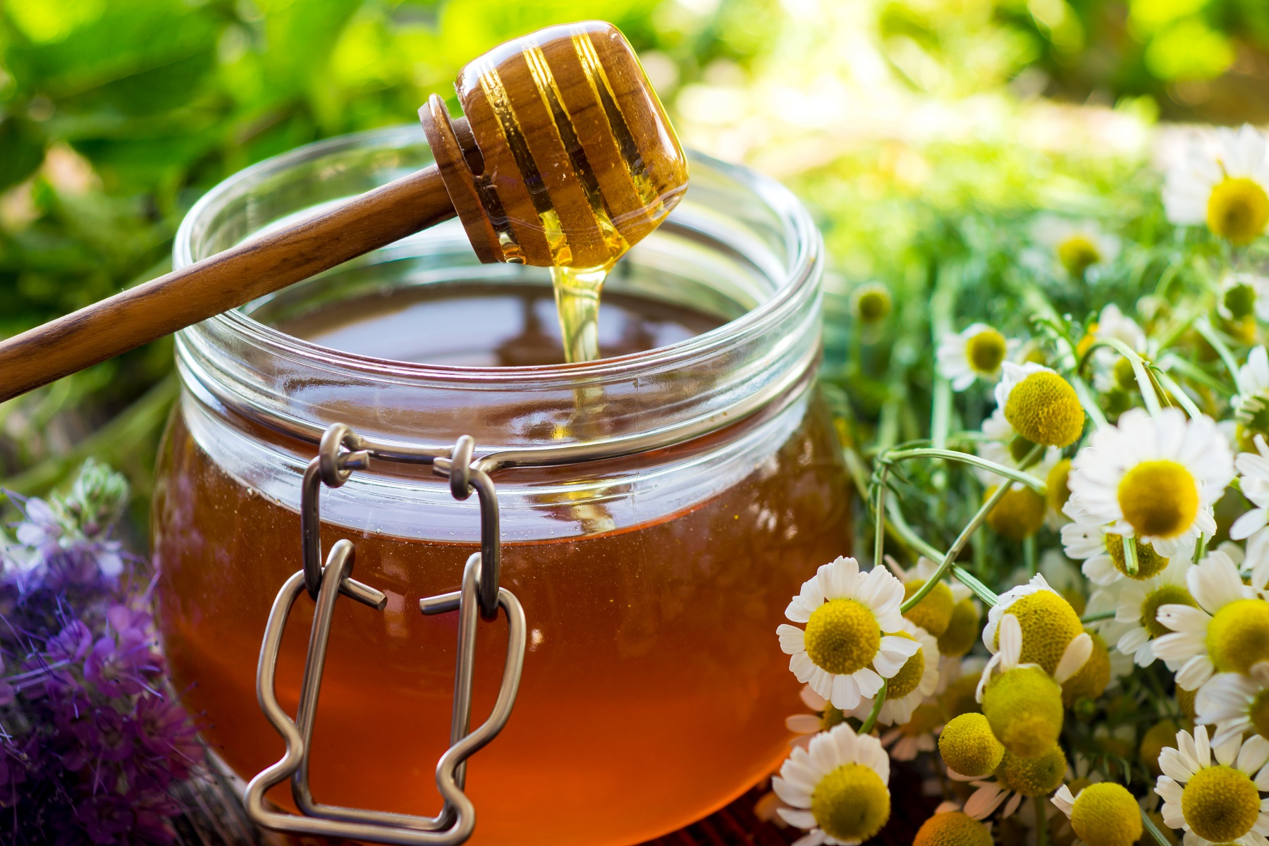 Мед из разнотравья: полезные свойства и противопоказания, описание, как выглядит, какого цвета цветочный, луговой, алтайский, какой лучше