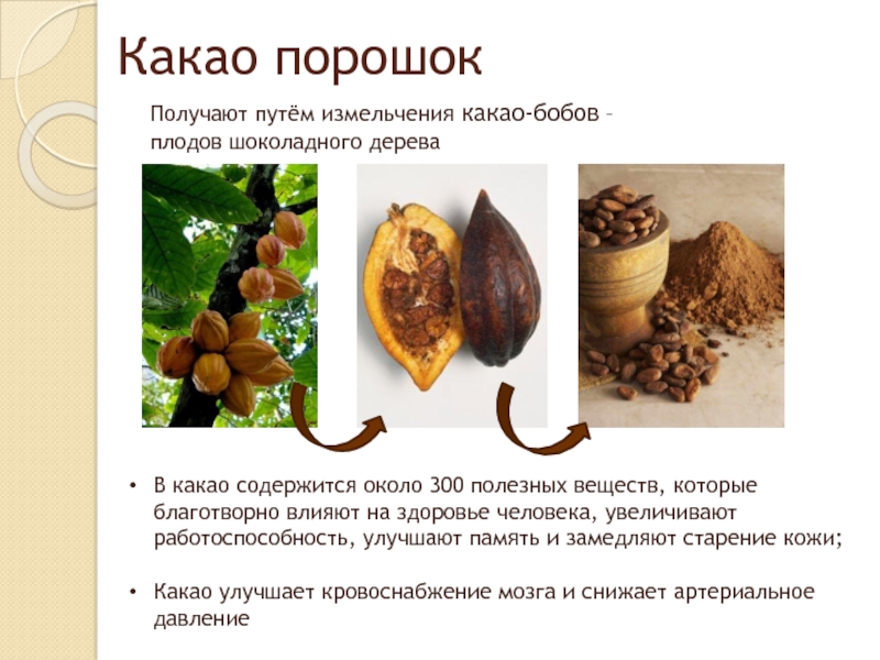 Какао – сорта, польза продуктов (масло, порошок, какао-бобы), применение в медицине, вред и противопоказания, рецепт напитка. фото шоколадного дерева и плодов какао