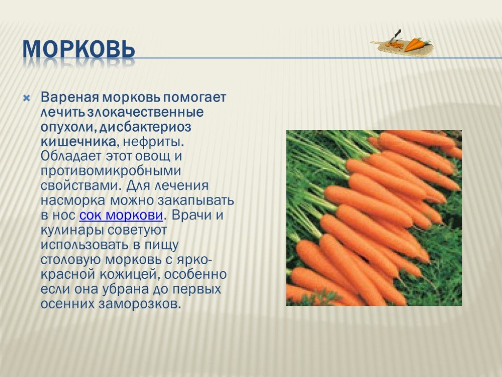 Всё про морковь , её состав и калорийность, полезные свойства и применение в народной медицине, интересные факты о моркови