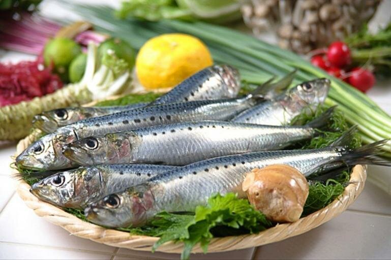 Рыба сардина: что за рыба, отличия от сардинеллы, вкусные рецепты
