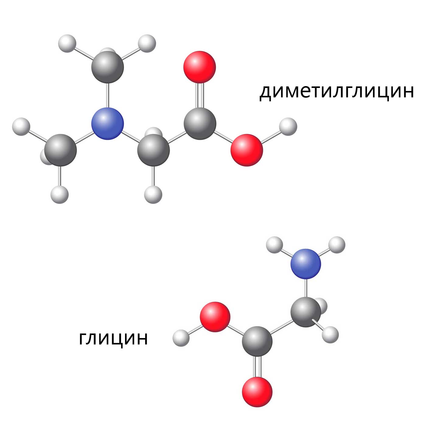 Минералы, необходимые организму: кальций (ca), фосфор (p), железо (fe), цинк (zn), медь (cu) | университетская клиника