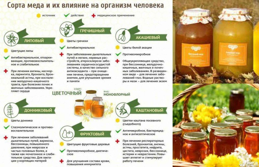 Рапсовый мед: польза и вред