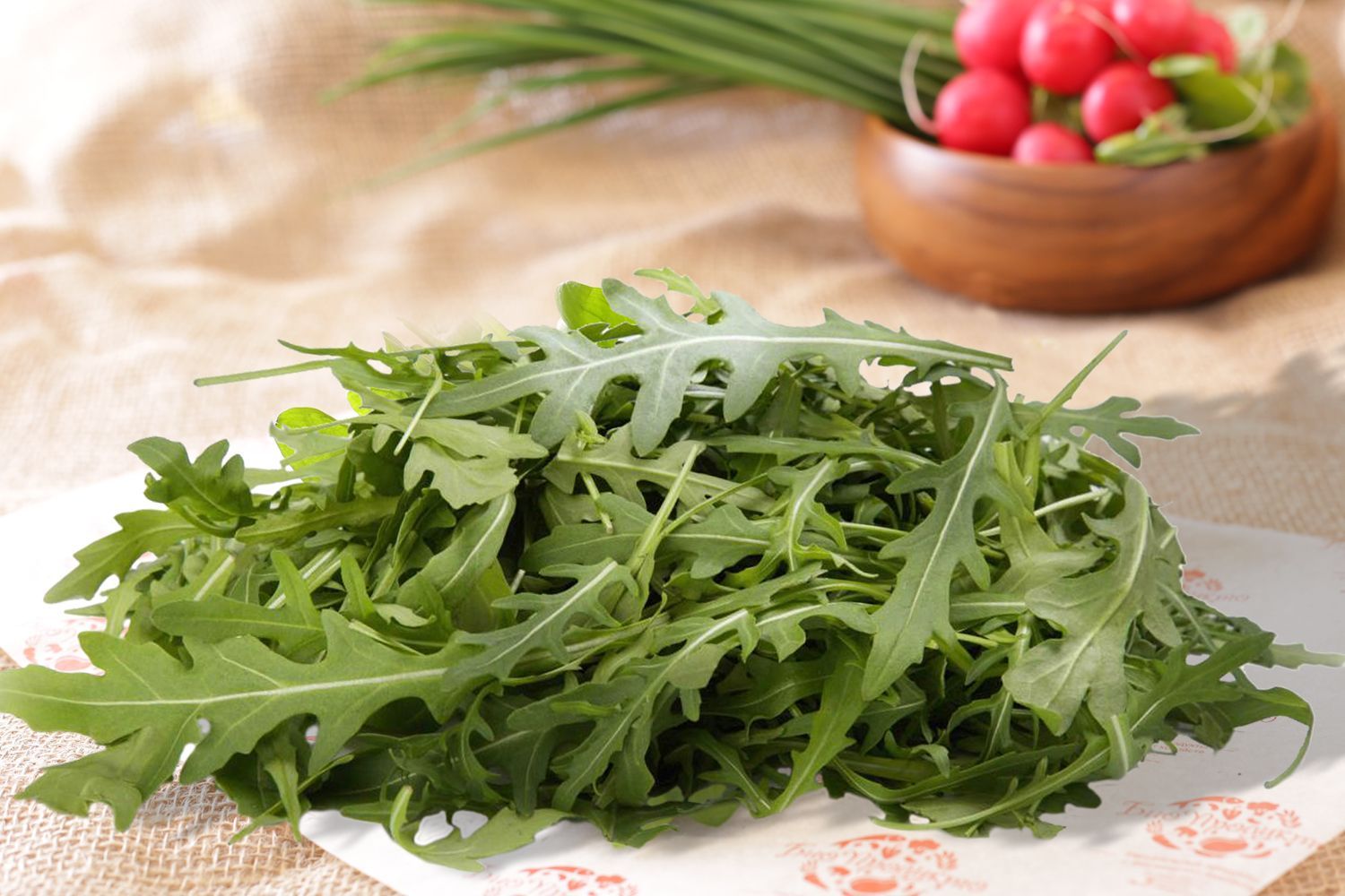 Салат руккола польза и вред как сажать и выращивать