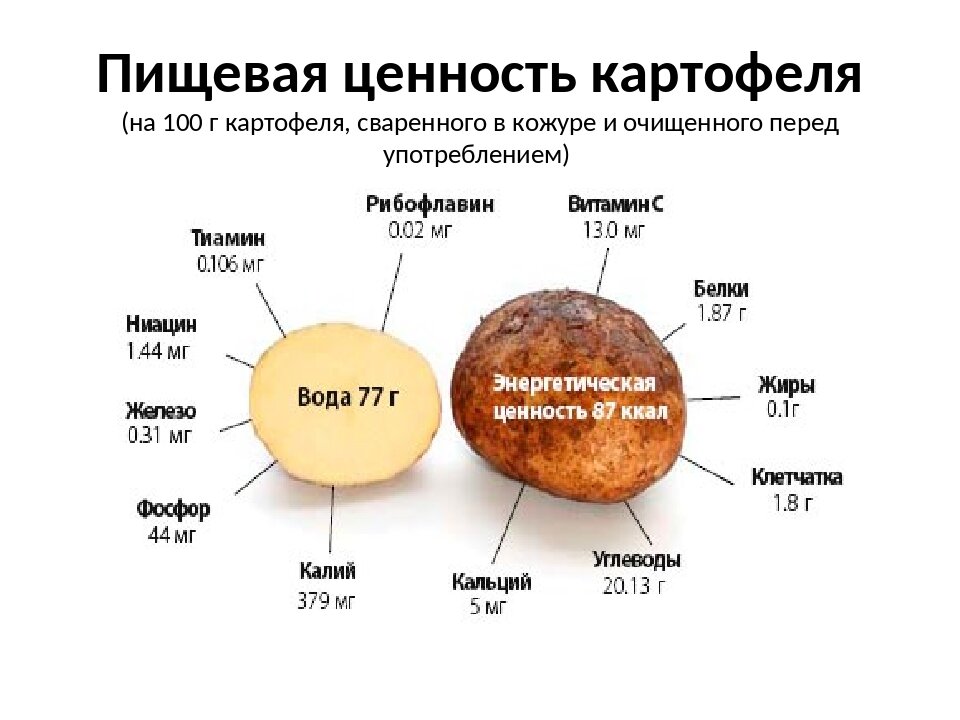 Калорийность картошки: жареной, вареной, тушеной, пюре и т.д
