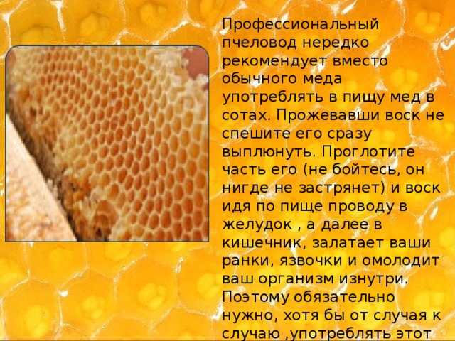 Полезные свойства меда для организма - от чего он действительно лечит