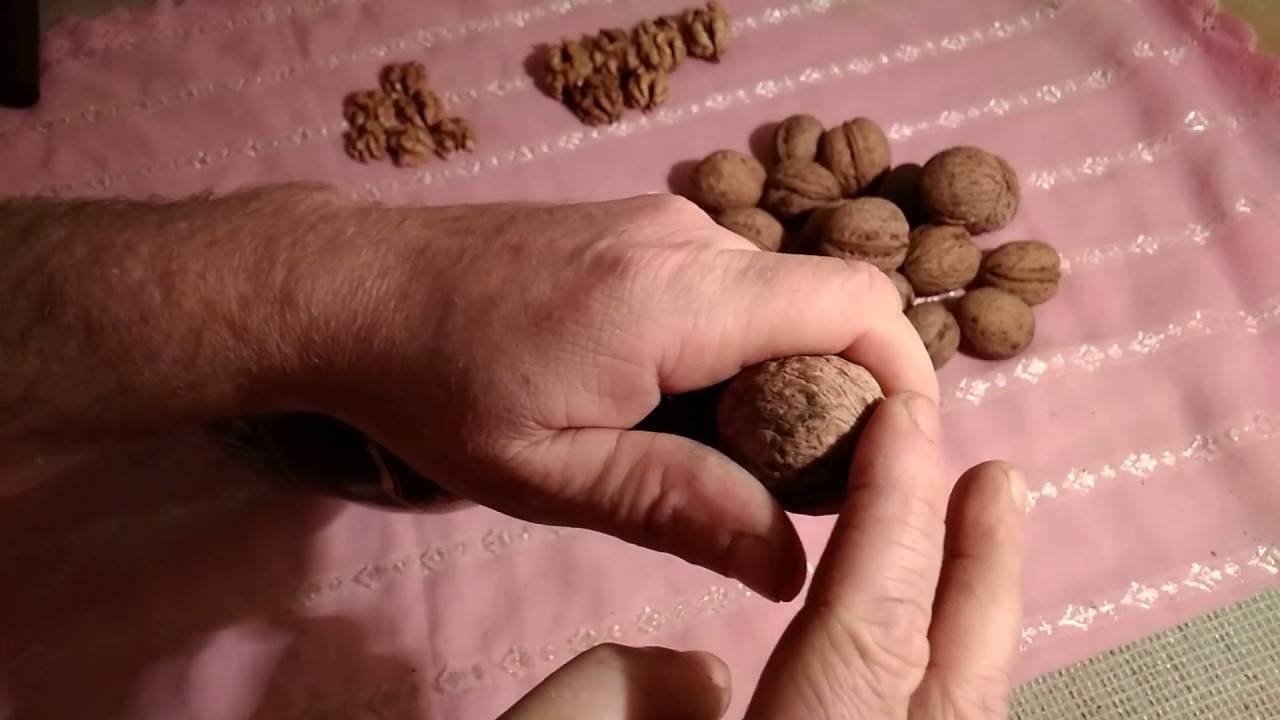 Как быстро почистить грецкий орех, чтобы он остался целый