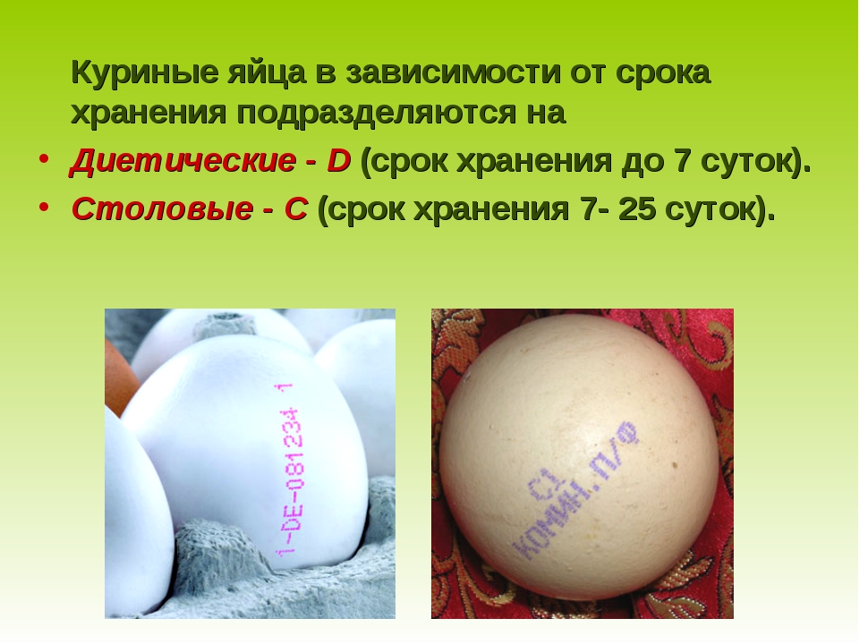 Хранение вареных яиц в скорлупе в холодильной камере