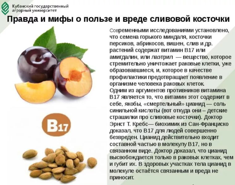 Витамины группы в: в каких продуктах содержатся – эл клиника