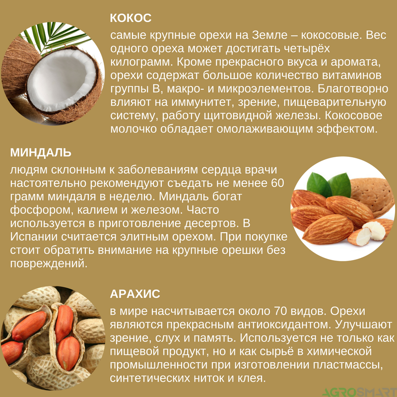 Бразильский орех — описание, полезные и вредные свойства, состав, калорийность, фото