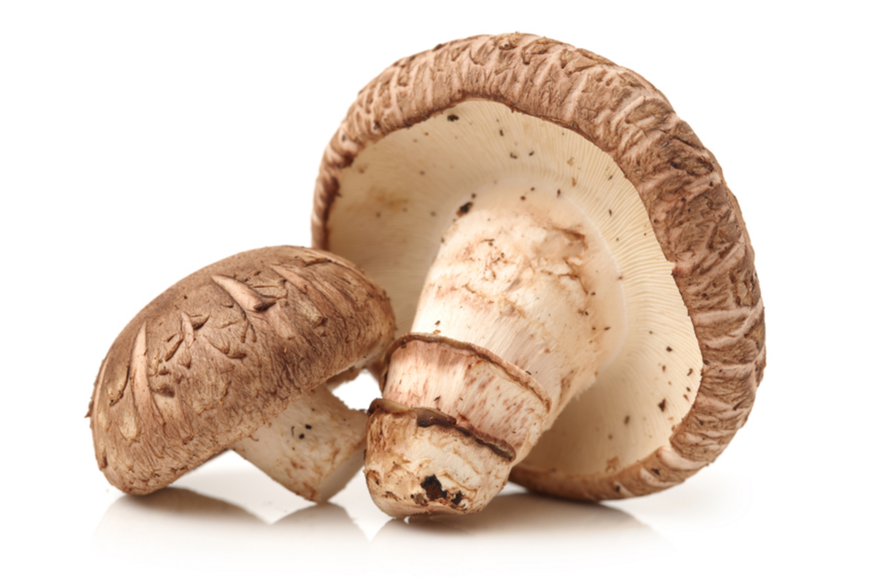 Рассматриваем пользу и вред грибов шиитаке - рецепты для применения в лечении и уходе за внешностью, противопоказания и отзывы