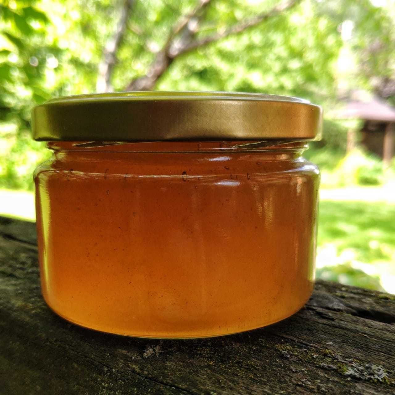Полезные свойства и противопоказания мёда из черноклена