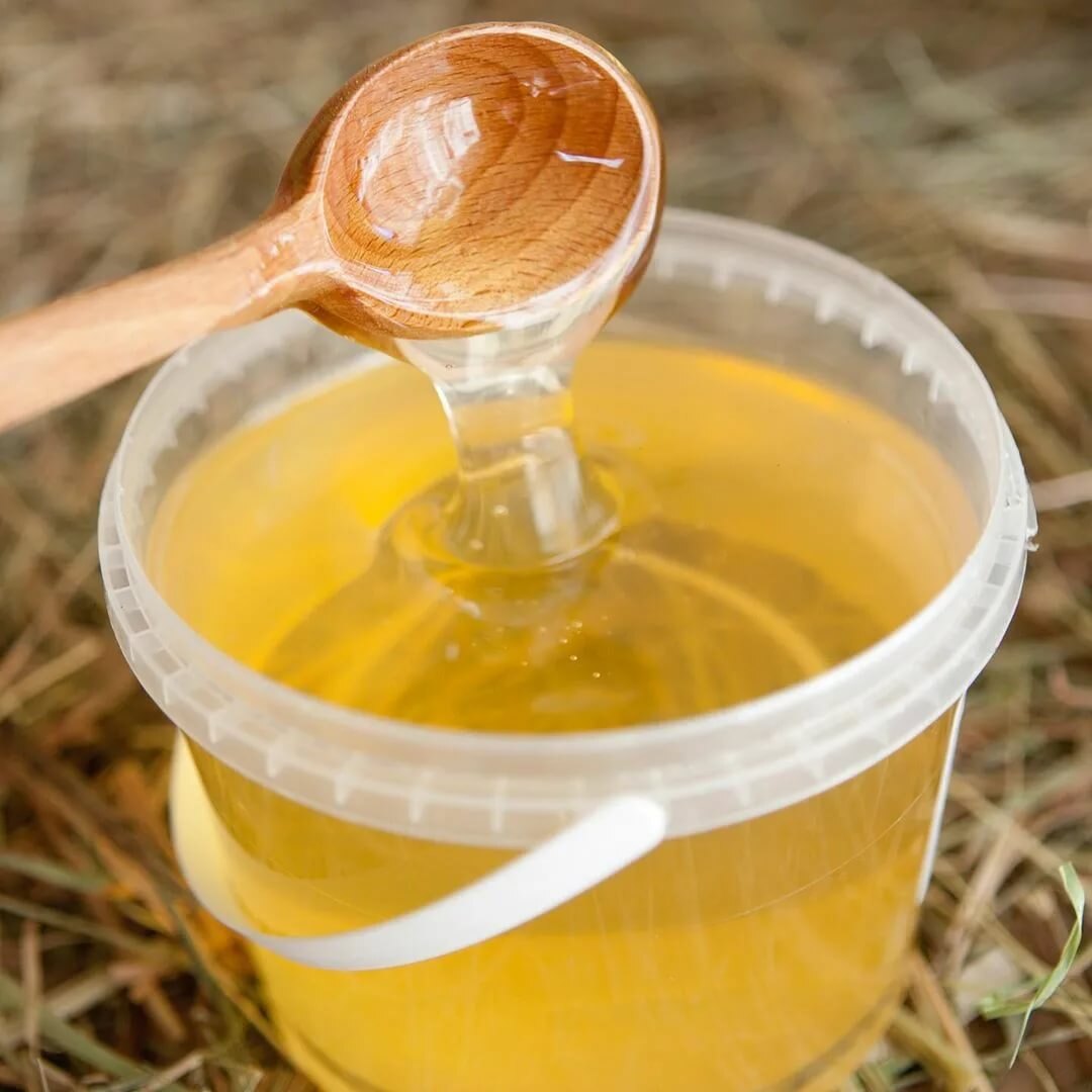 Эспарцетовый мед: полезные свойства, применение