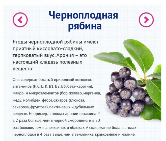 Ягоды черемухи — польза, уникальный состав и богатый вкус. какой может быть вред от ягод черемухи