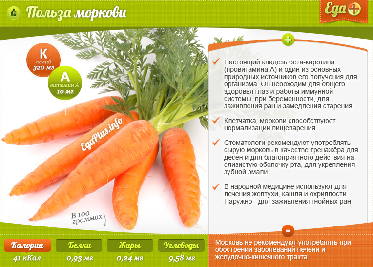 Морковь полезные свойства и противопоказания