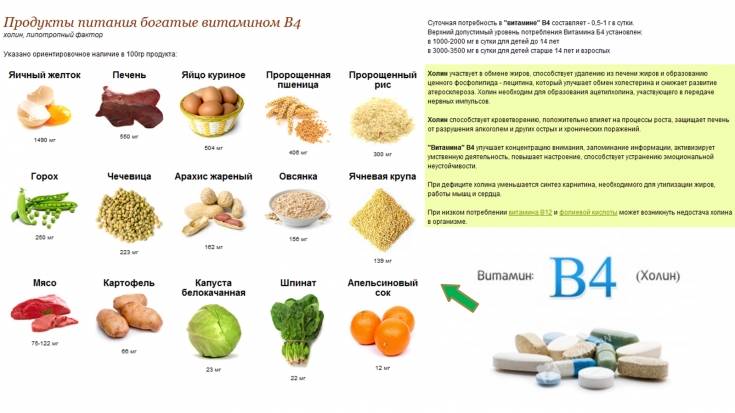 Витамин b4 для печени. в каких продуктах содержится холин