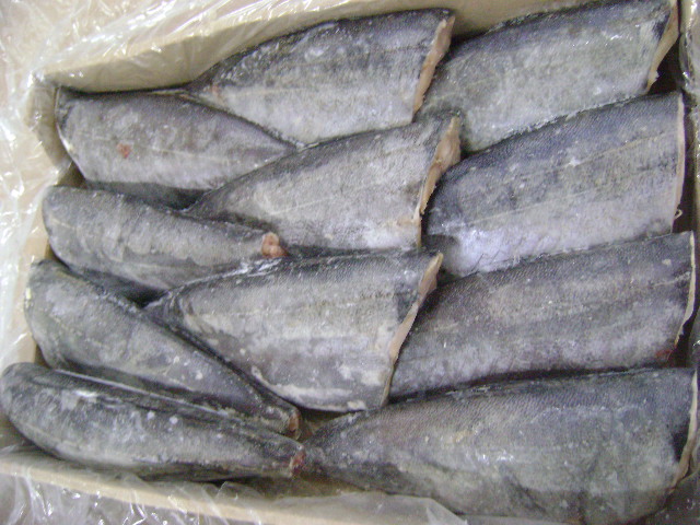 Саворин (серебристый варехоу): полезные свойства рыбы, калорийность