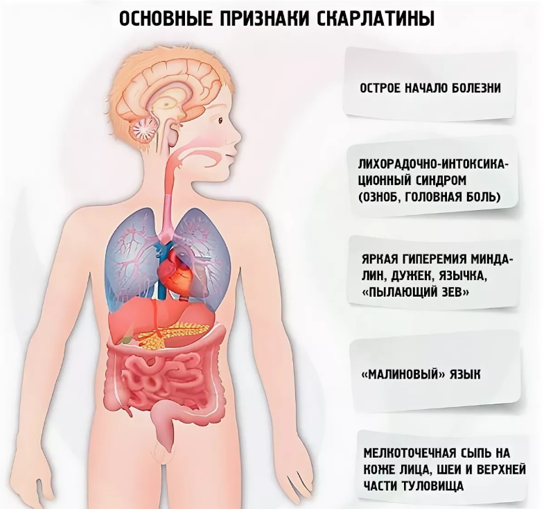 Орви, грипп и коронавирус во время беременности
