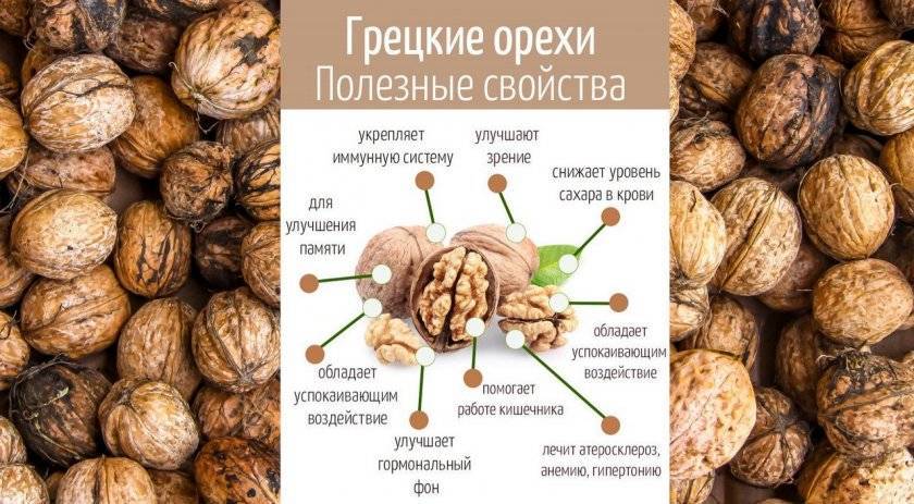 Лечение зелеными грецкими орехами в народной медицине: рецепты и отзывы - folkremedy.ru