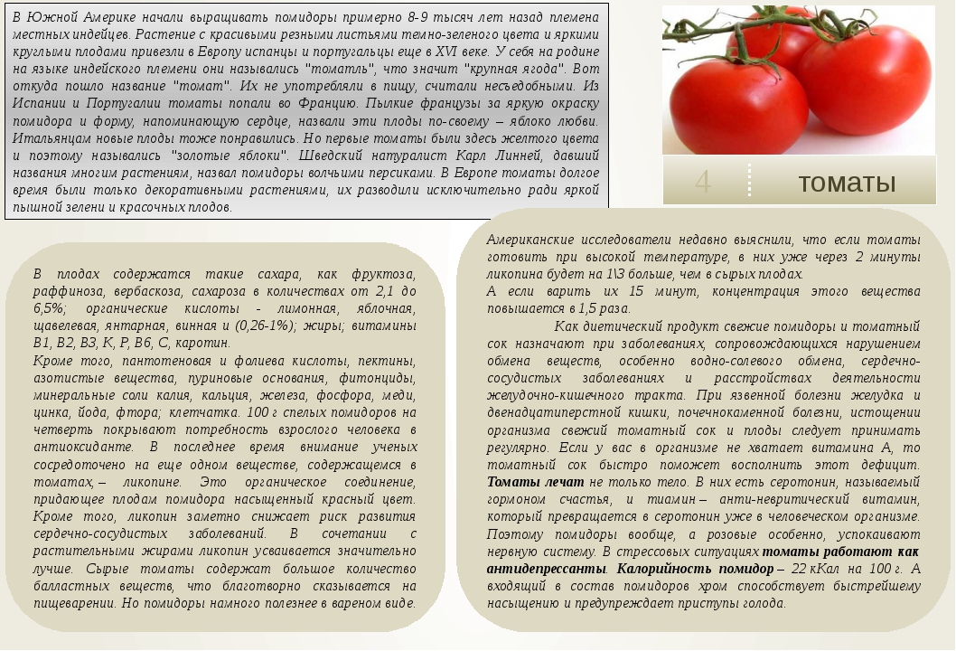 Калорийность помидора на 100 грамм, бжу, польза и вред для организма