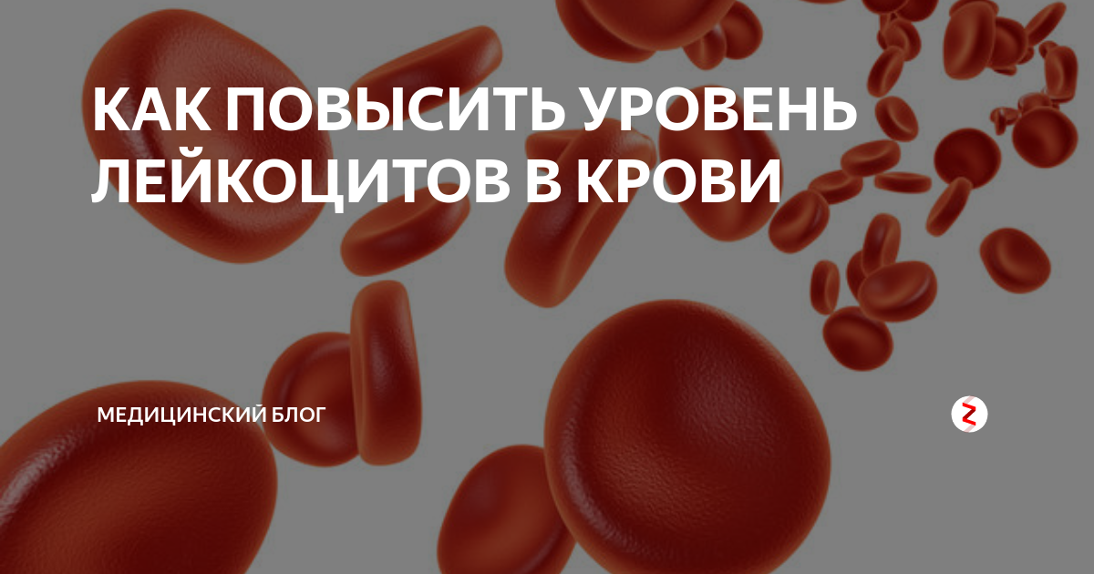 Повышенные лейкоциты в крови: причины у детей и взрослых