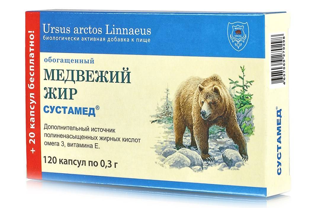Медвежий жир: польза и вред, лечебные свойства, противопоказания, применение