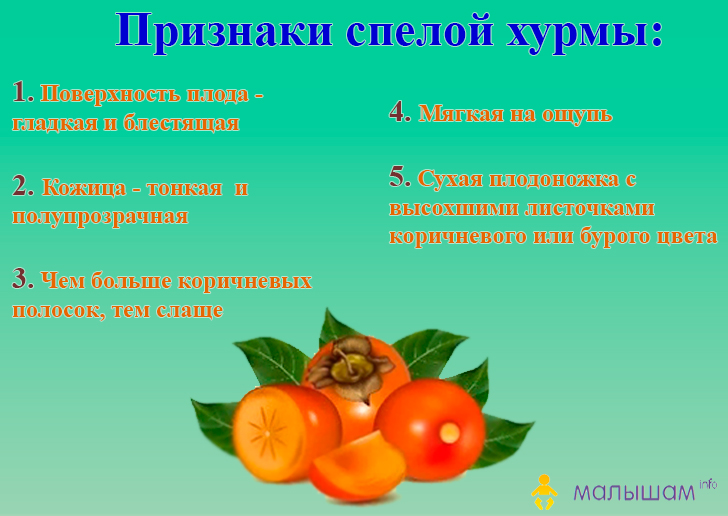 Полезные свойства фрукта королек: что это за продукт, какие вещества в нем присутствуют Кому полезно употреблять плоды, можно ли при запорах и беременности