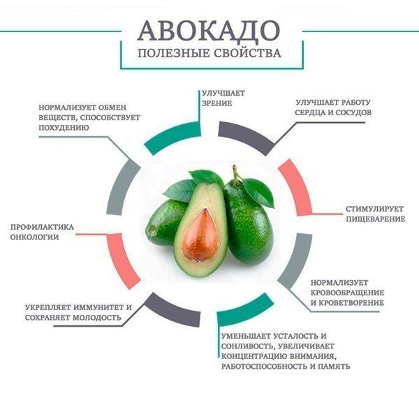 Авокадо польза и вред для организма женщины, мужчины и детей