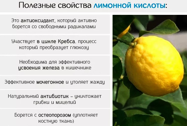 Лимонная кислота: польза и вред для организма :: syl.ru