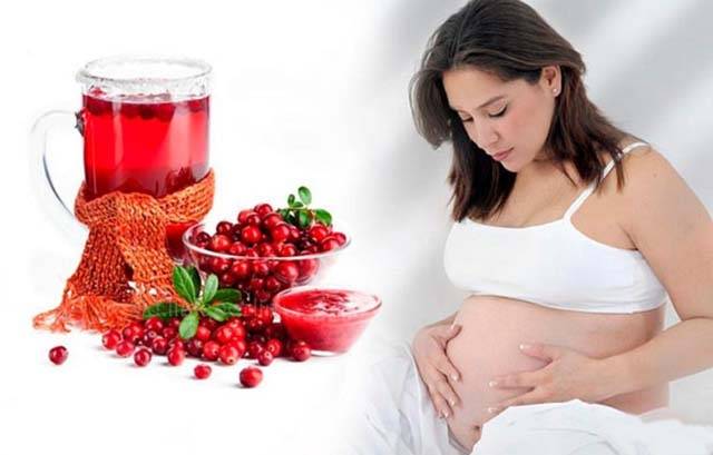 Клюквенный морс: польза и вред для здоровья, можно ли при беременности, грудном вскармливании, простуде, противопоказания, рецепты