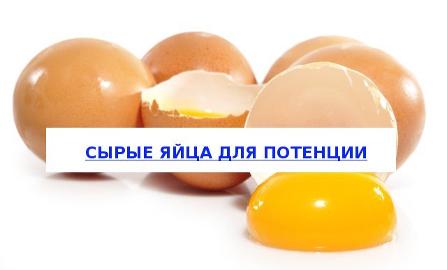 Сырые яйца — польза и вред для здоровья | польза и вред