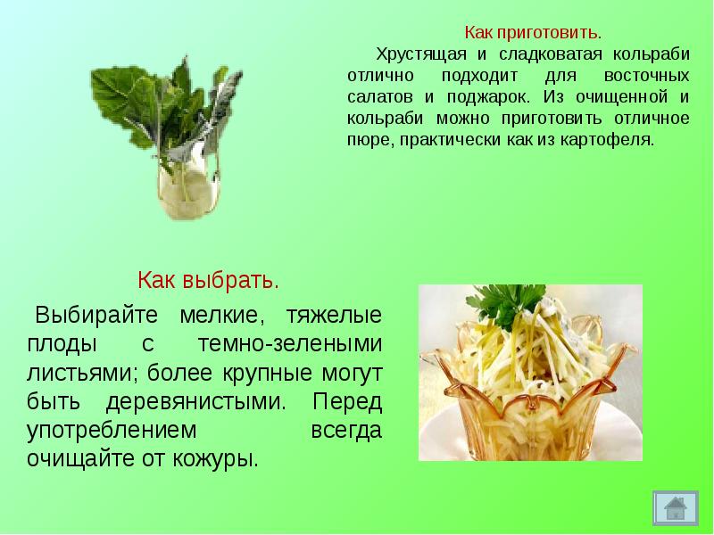 Кольраби вред и польза, какие варианты приготовление капусты есть