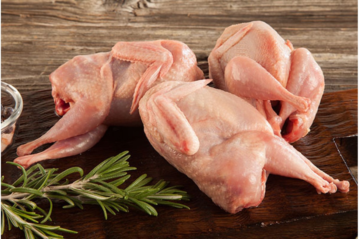 Польза перепелиного мяса: 90 фото, вред и особенности использования в кулинарии