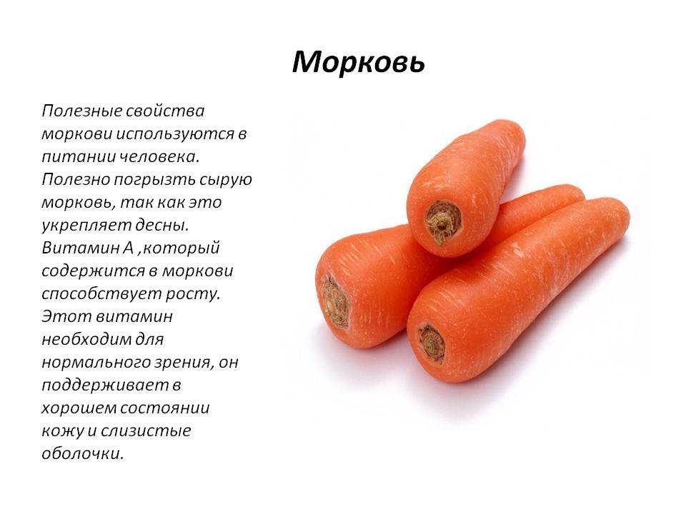 Морковь – калорийность, состав, польза и вред для организма